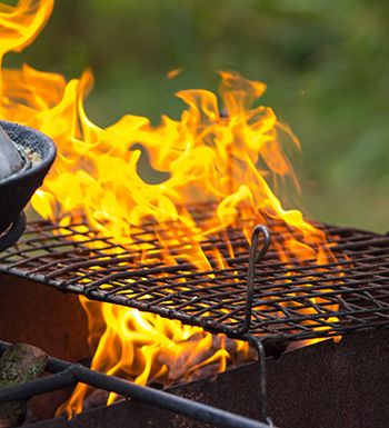 barbequee